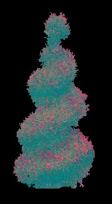 植物PS素材 (59)