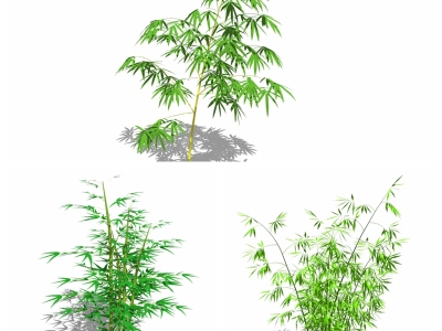 现代花草绿植