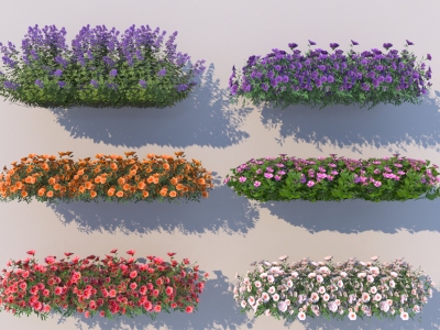 现代花草组合