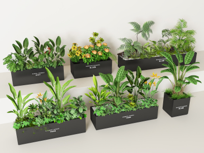 现代绿植花箱组合