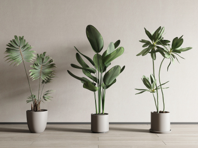 现代绿植盆栽