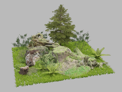 现代植物组团