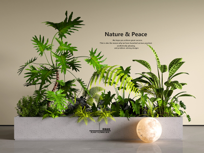现代花箱植物堆