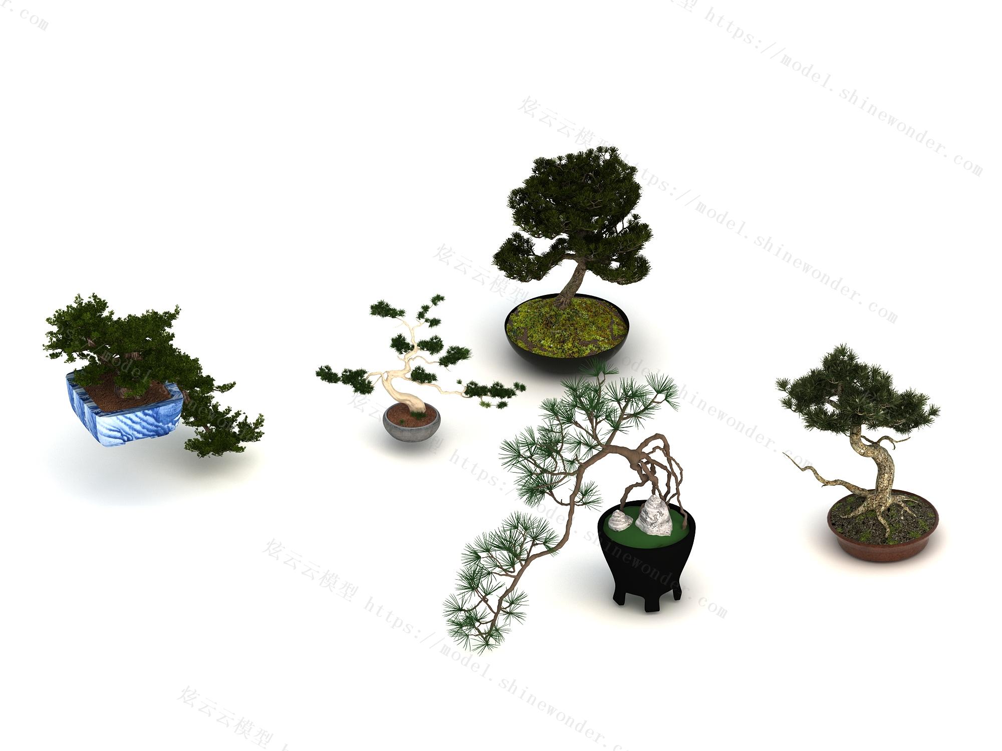 盆栽景观盆栽盆景小盆栽模型 免费3d模型下载 免费su模型下载 炫云云模型网站