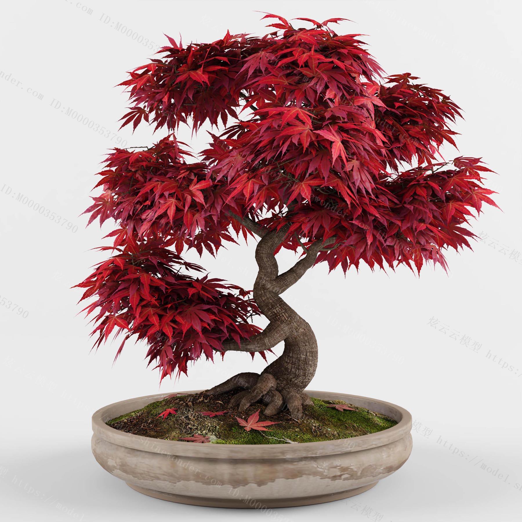 中式绿植松树盆栽模型 免费3d模型下载 免费su模型下载 炫云云模型网站