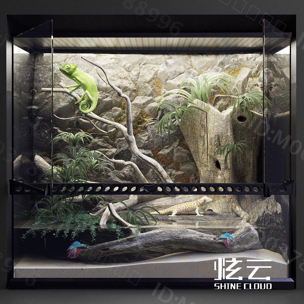 3D模型-现代水陆箱生态箱模型-M0003788996-炫云云模型网