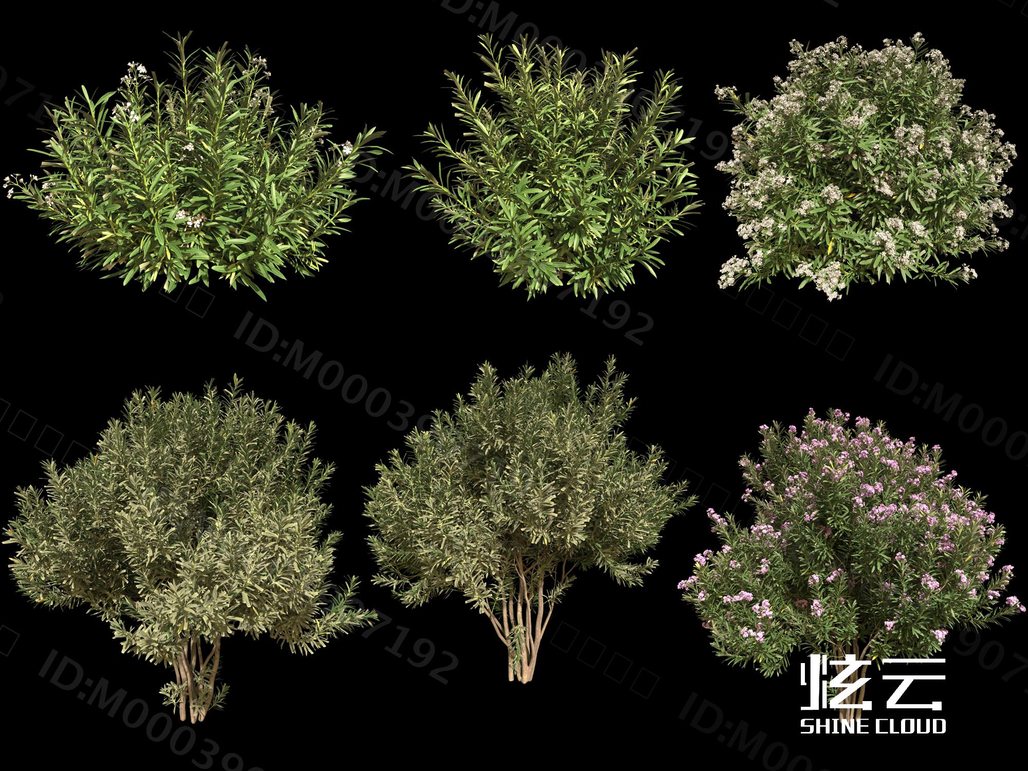 3D模型-现代灌木丛模型-M0003907192-炫云云模型网