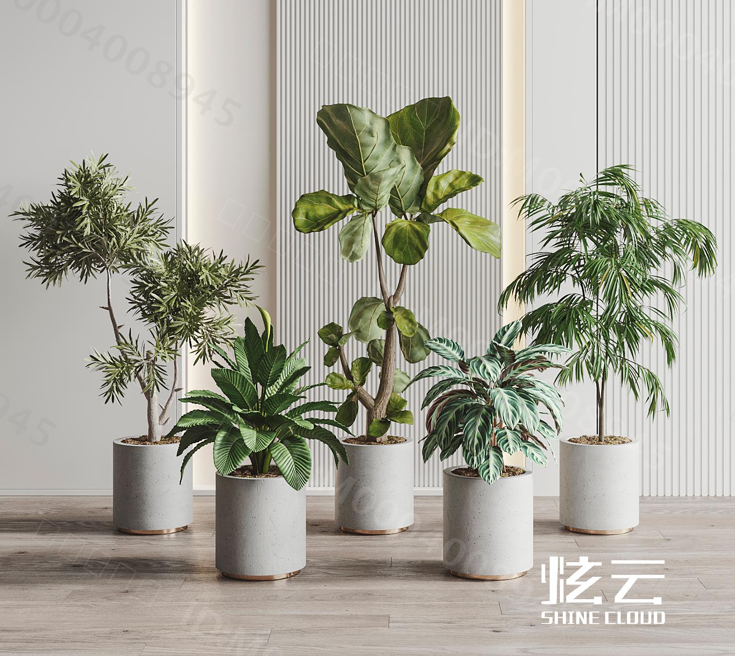3D模型-现代植物盆栽组合模型-M0004008945-炫云云模型网