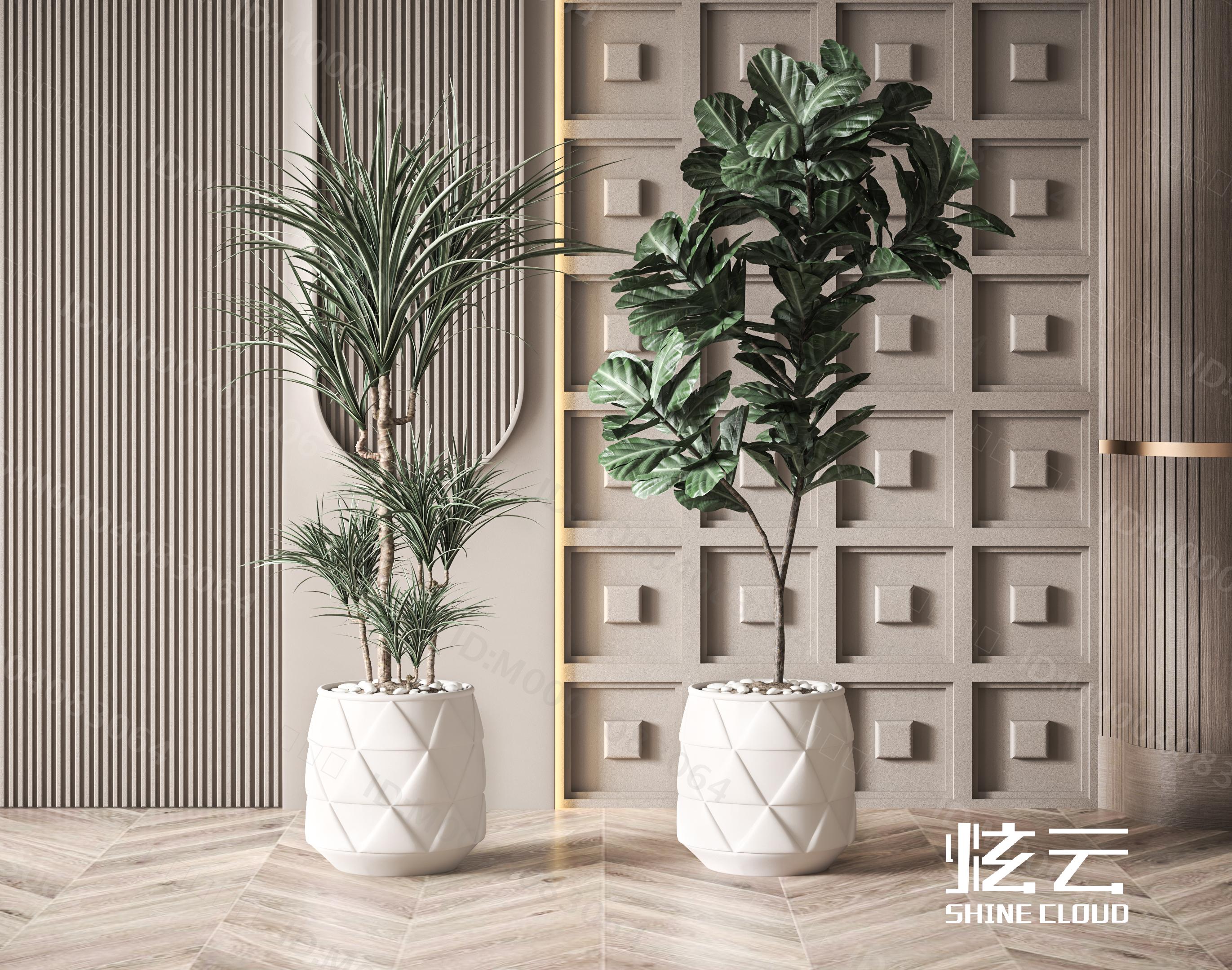 3D模型-现代植物盆栽组合模型-M0004083064-炫云云模型网